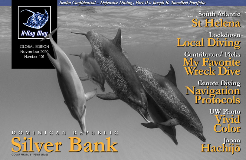 Cover image by Peter Symes | Dolphins off Bahamas