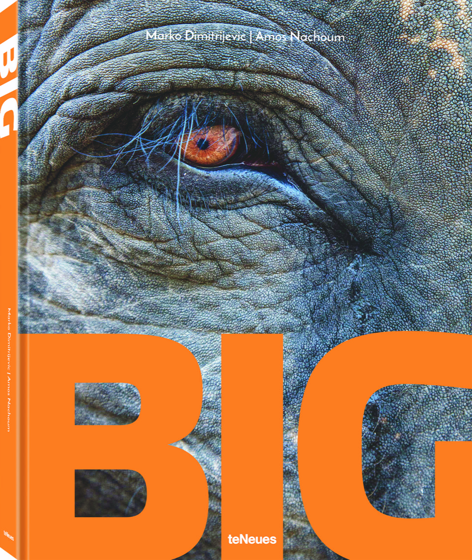 BIG by Amos Nachoum and Marko Dimitrijevic