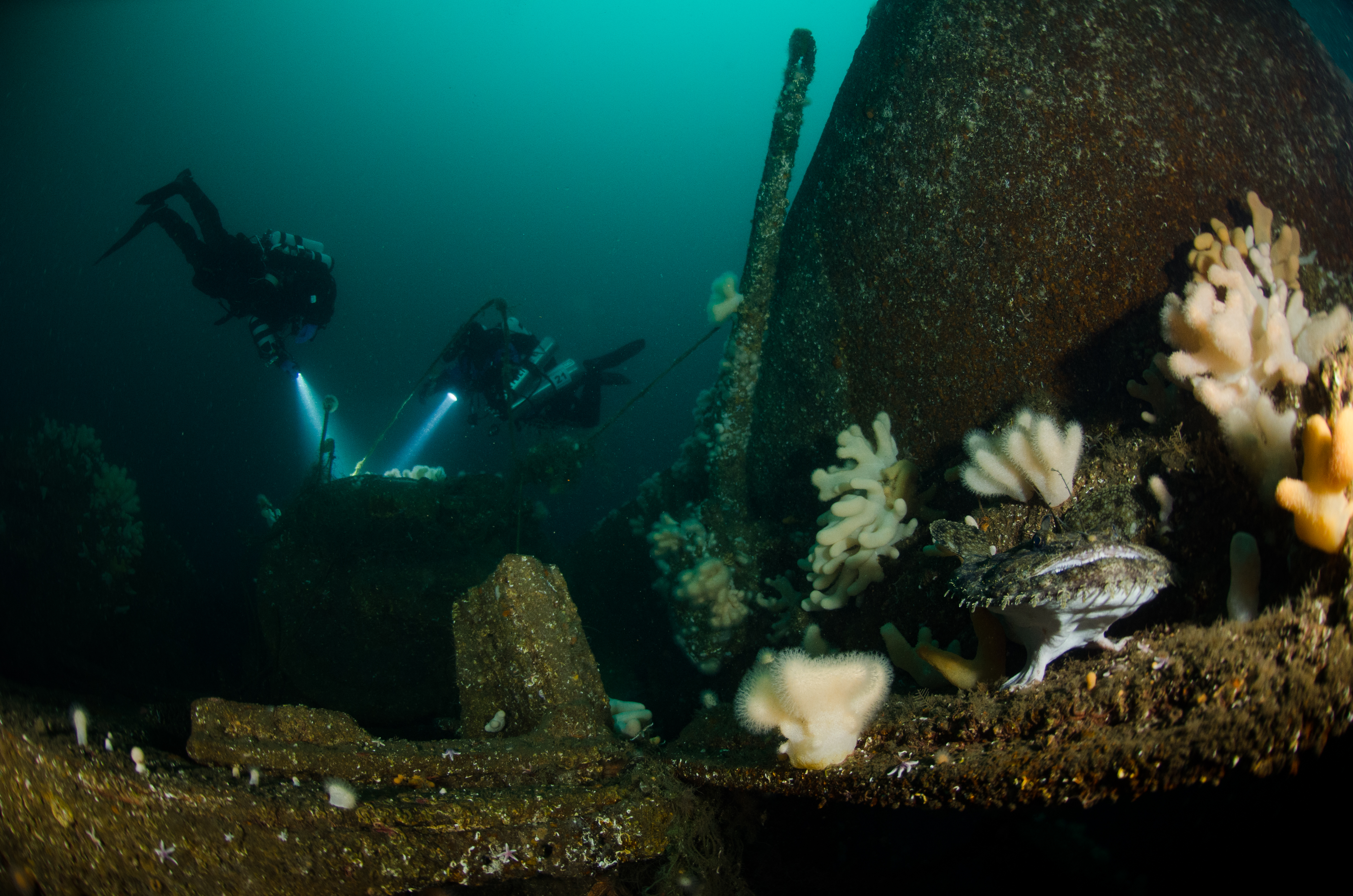 HMS Invincible, Jutland, Denmark. Photo by René B. Andersen