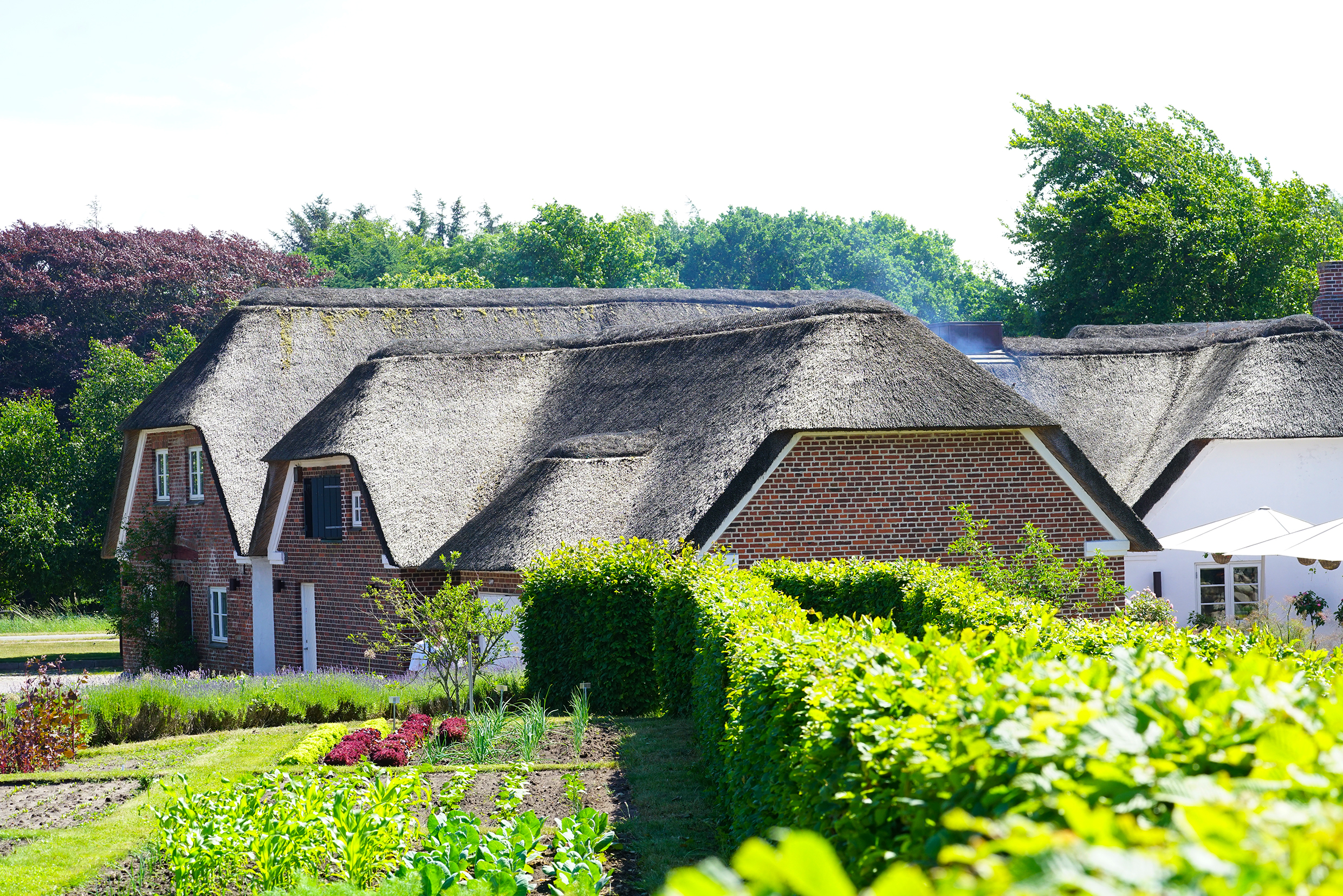 Henne Kirkeby Kro garden. Photo by Peter Symes