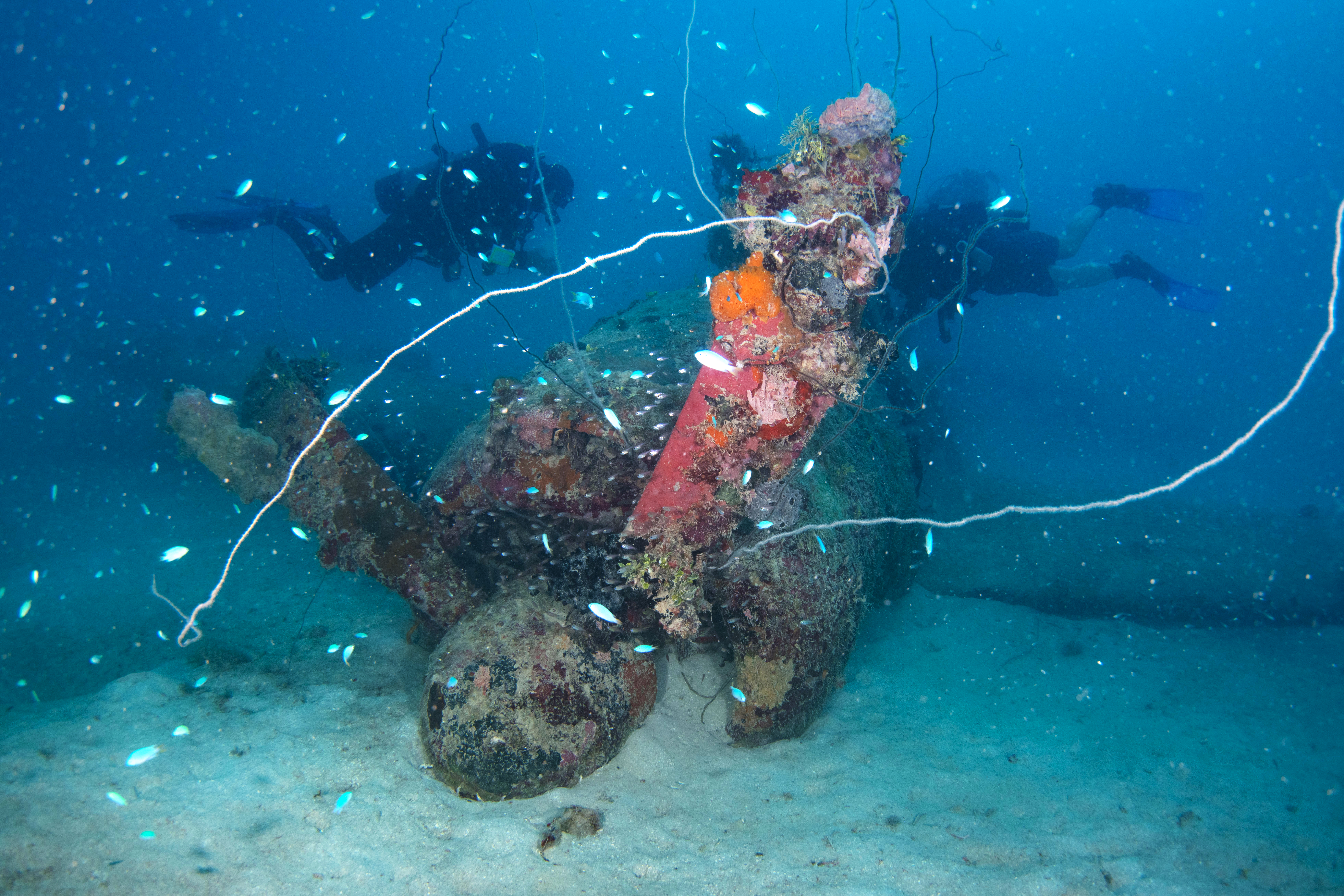 Jill airplane wreck, Truk Lagoon, Micronesia. Photo by Brandi Mueller