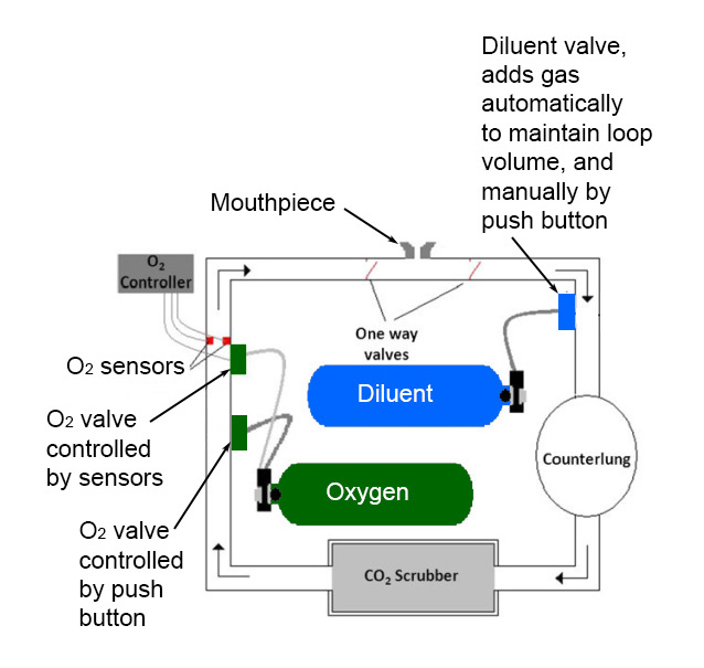 Figure 1. Schematic of an electronic CCR (by Michael Rothschild)