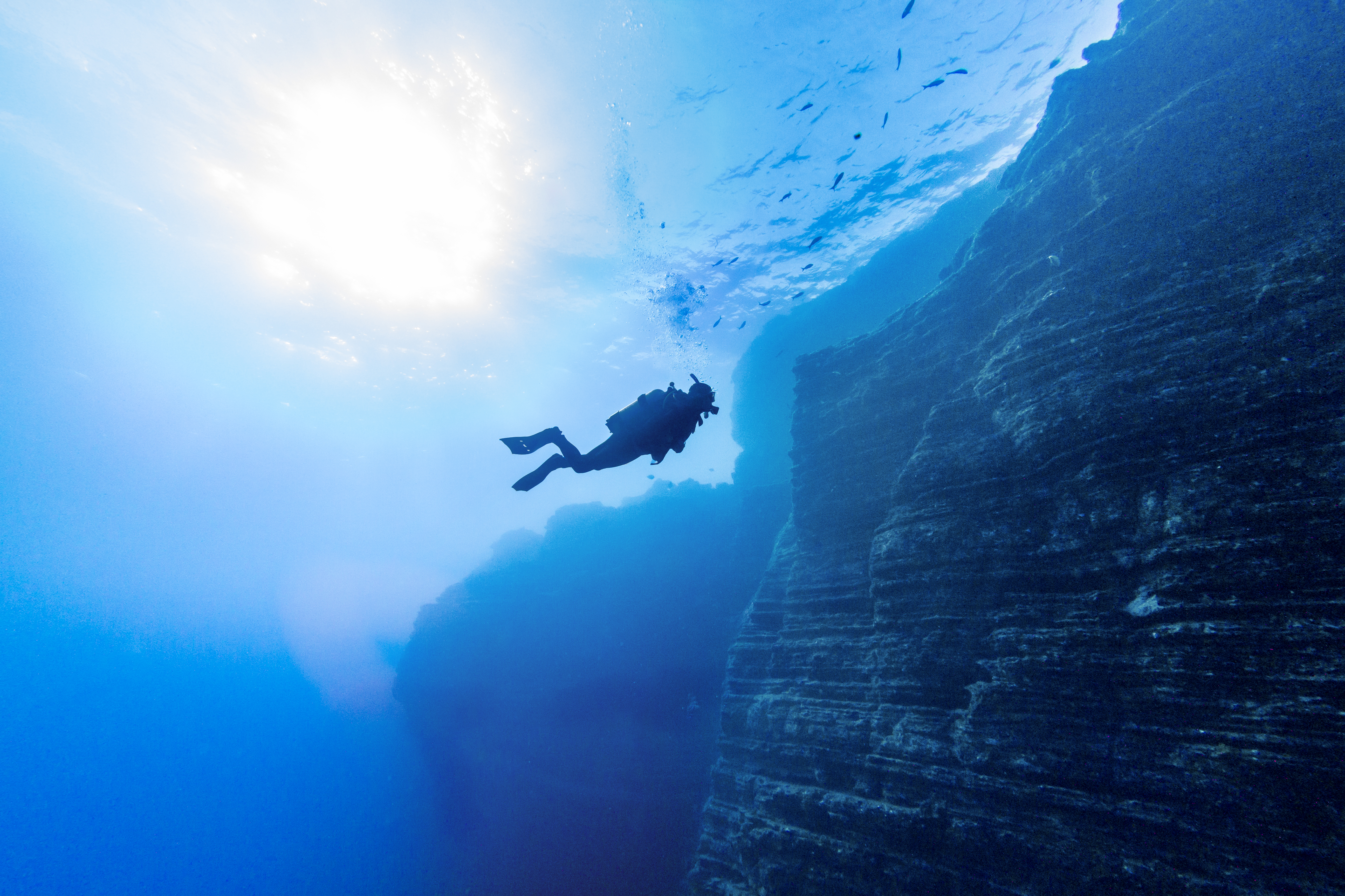 Diver at The Boiler. Photo by Kate Holt