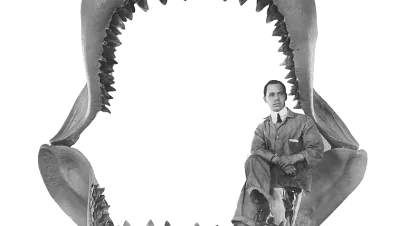 Reconstruction of a megalodon's jaws